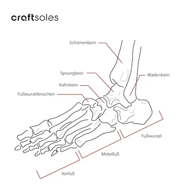 Anatomie des Fußes mit Beschriftung