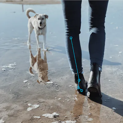 Mann geht mit Hund über das Watt