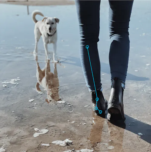 Mann geht mit Hund über das Watt