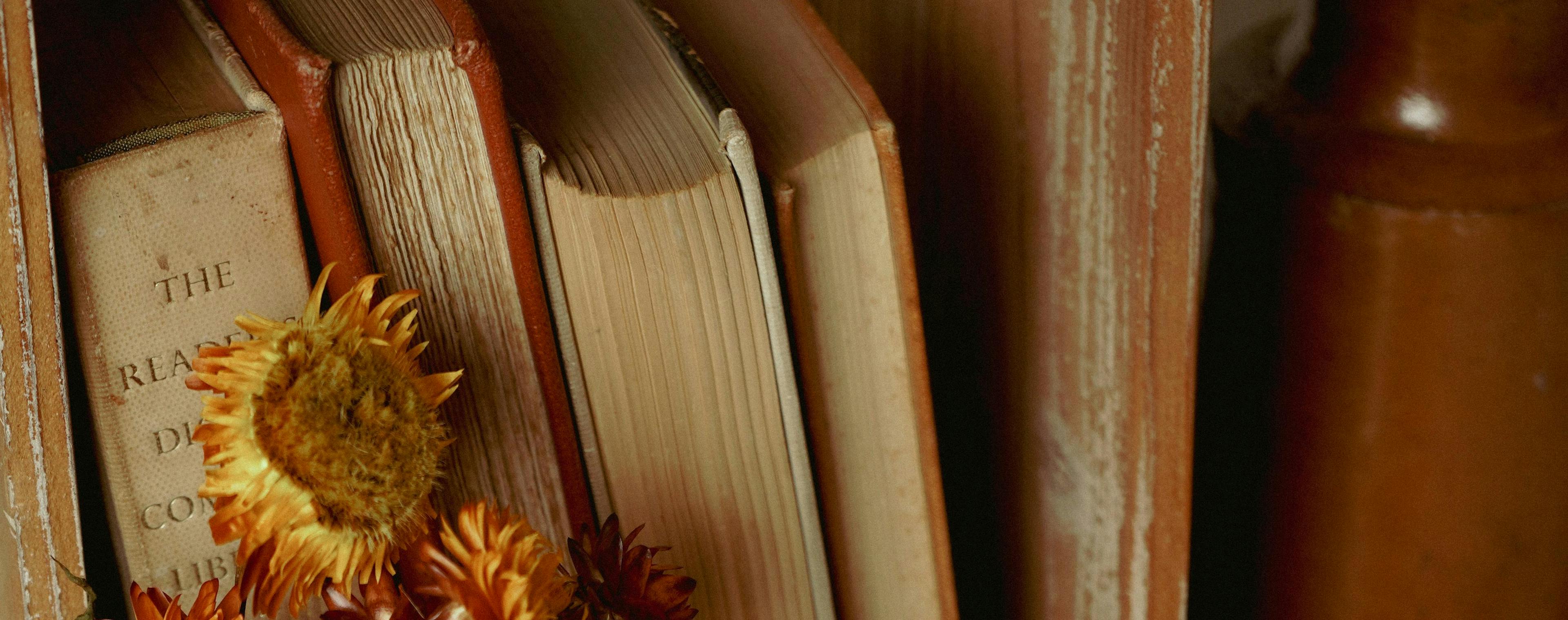 Bookshelf in autumn