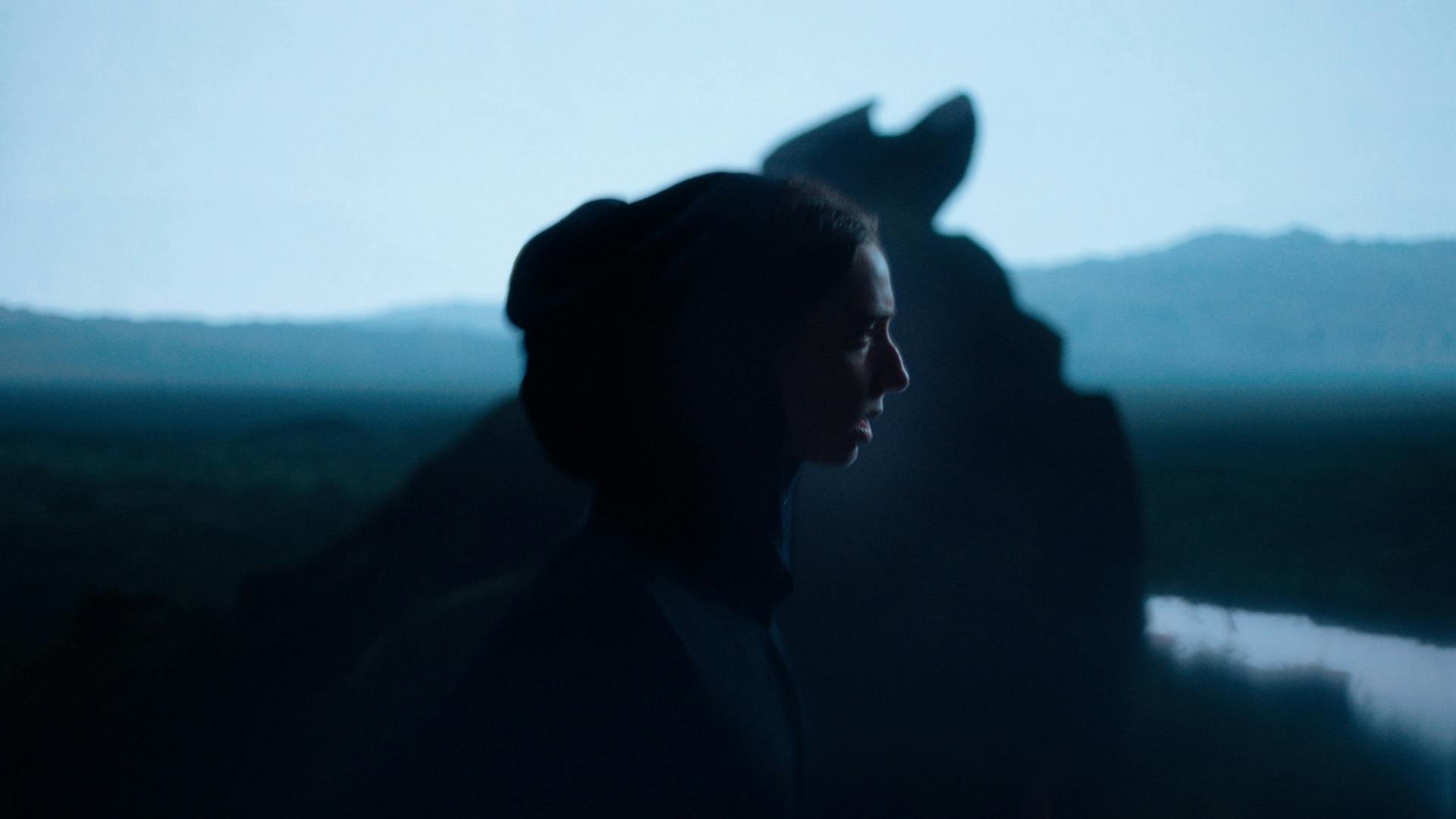 CURIOSITY-CREATIVE-DOING