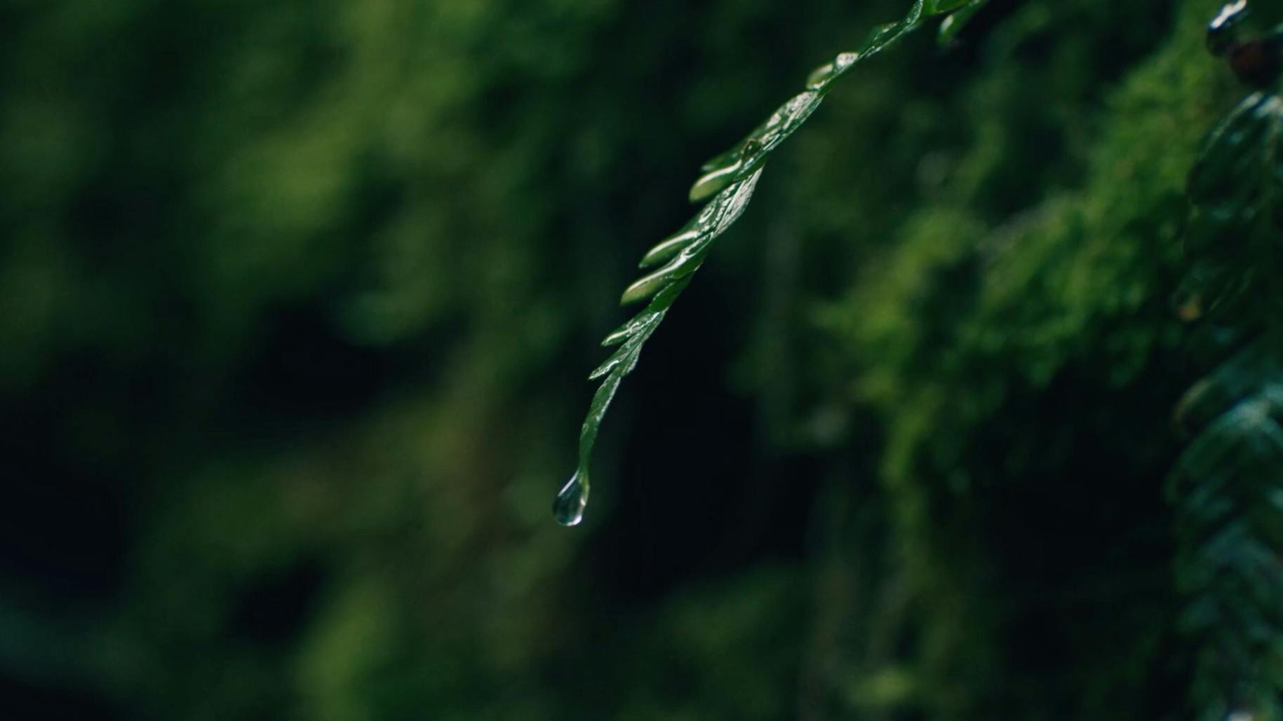 SALOMON-SPEECROSS-CREATIVE-DOING