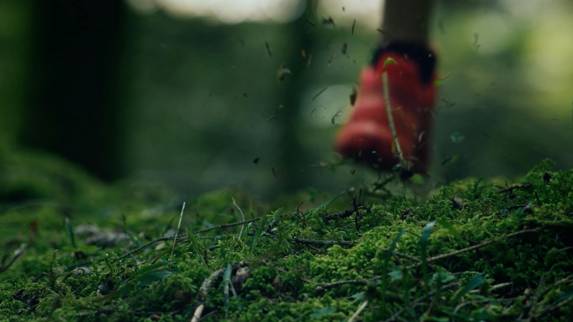 SALOMON-SPEECROSS-CREATIVE-DOING