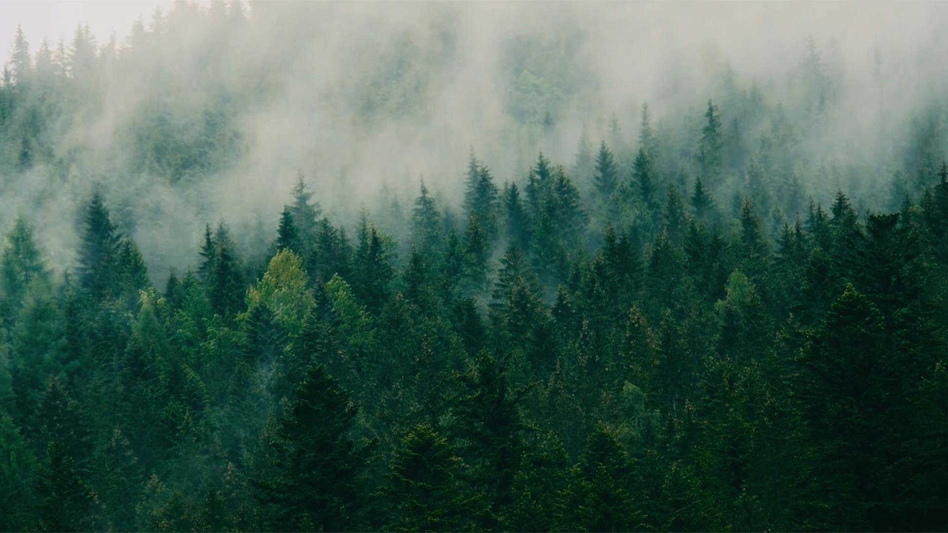 SALOMON-SPEECROSS-CREATIVE-DOING