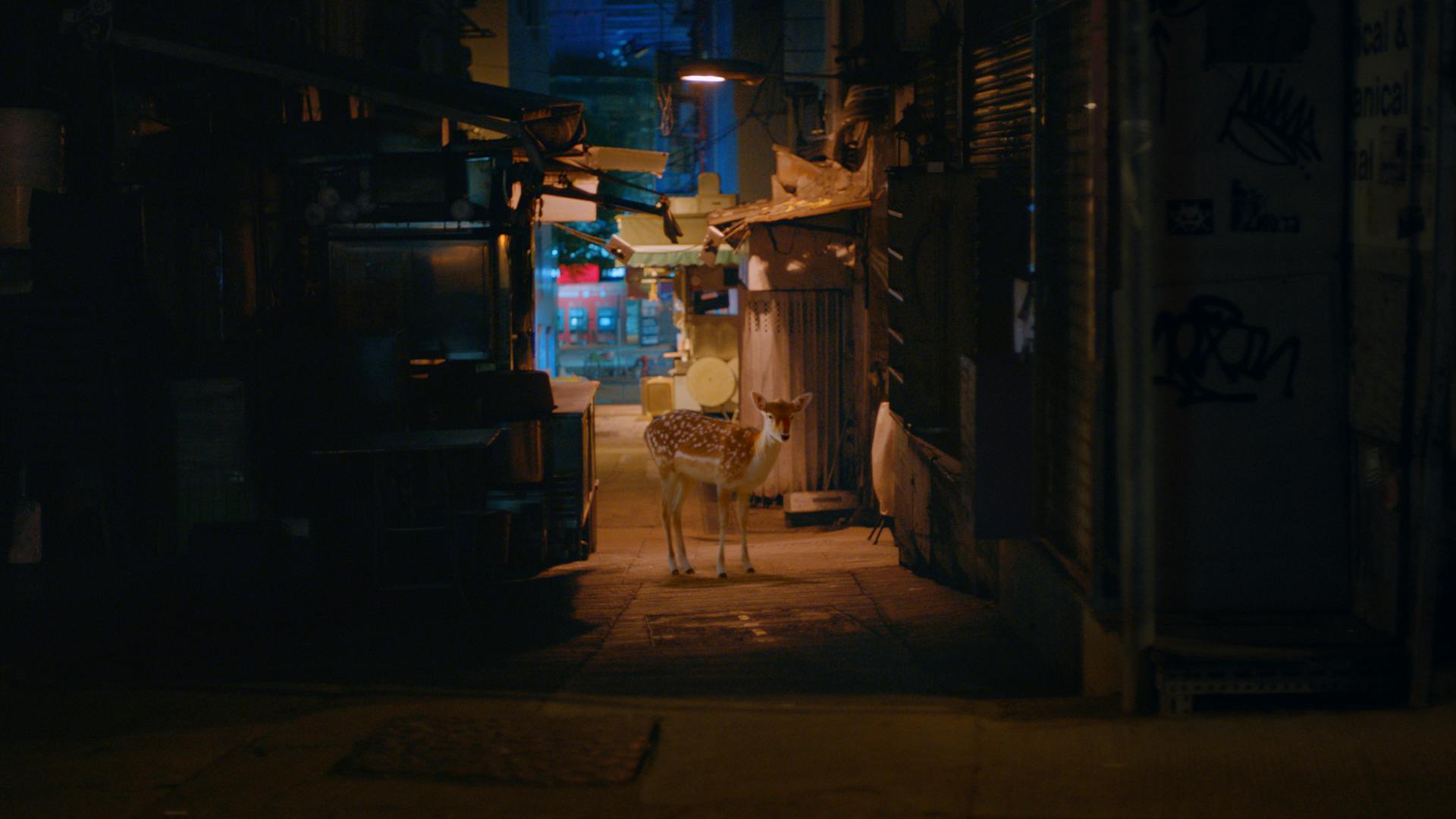 TISSOT-CARSON-CREATIVE-DOING