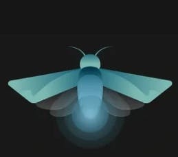 CEO of FireFly Advocates