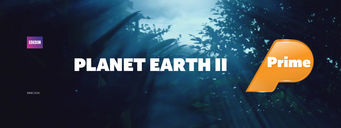 Human Serengetti - Axis Award winner