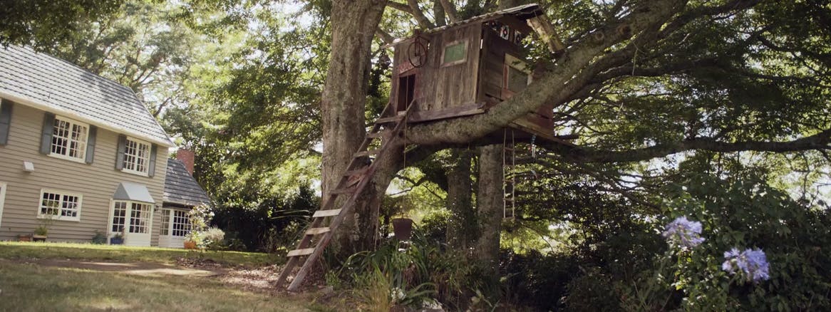 Pedigree – Tree House
