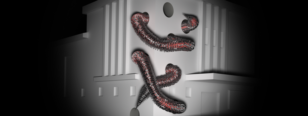 Reykjavik Winter Lights