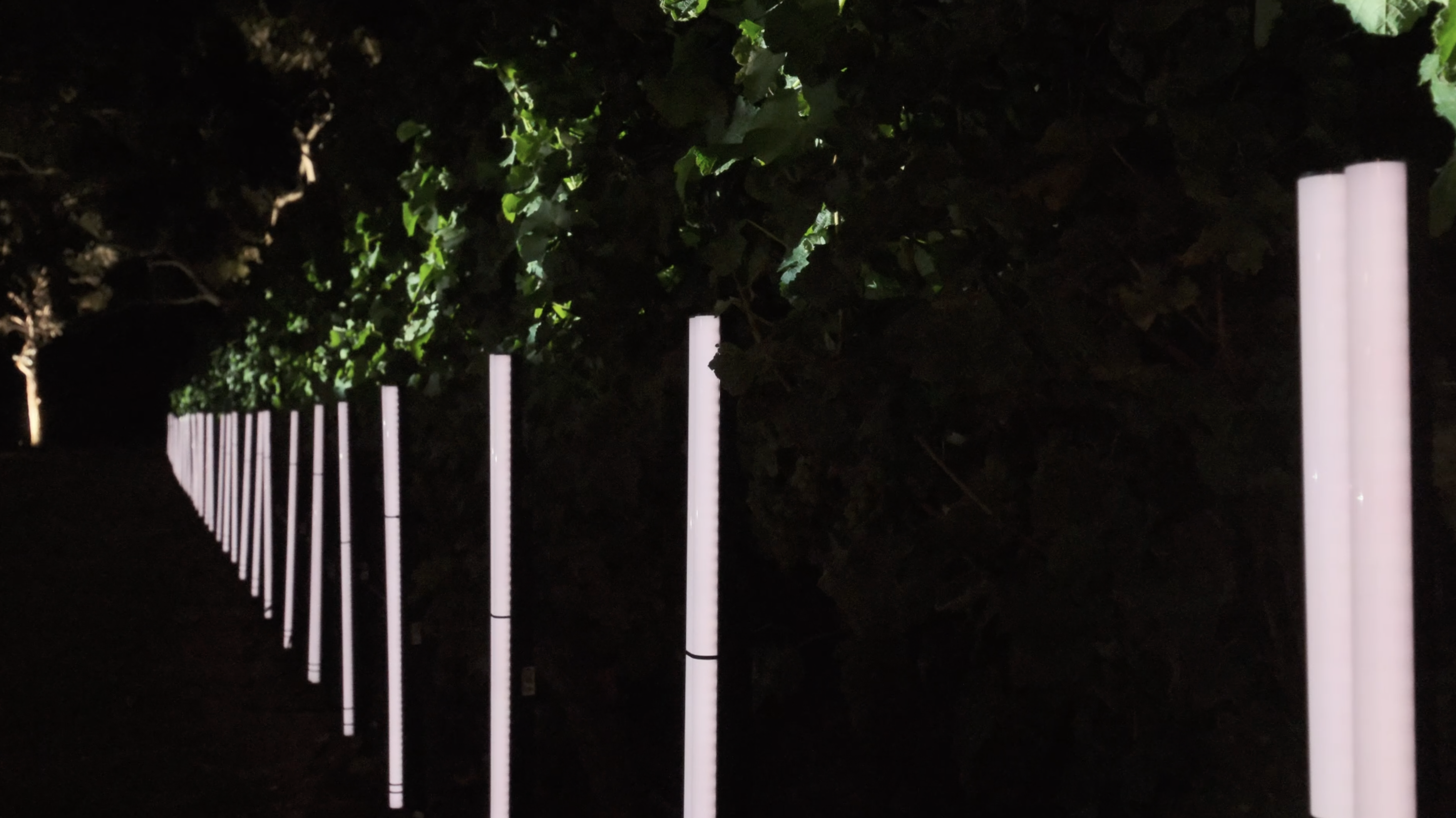 Cloudy Bay 40th Anniversary party - Immersive lighting and projection