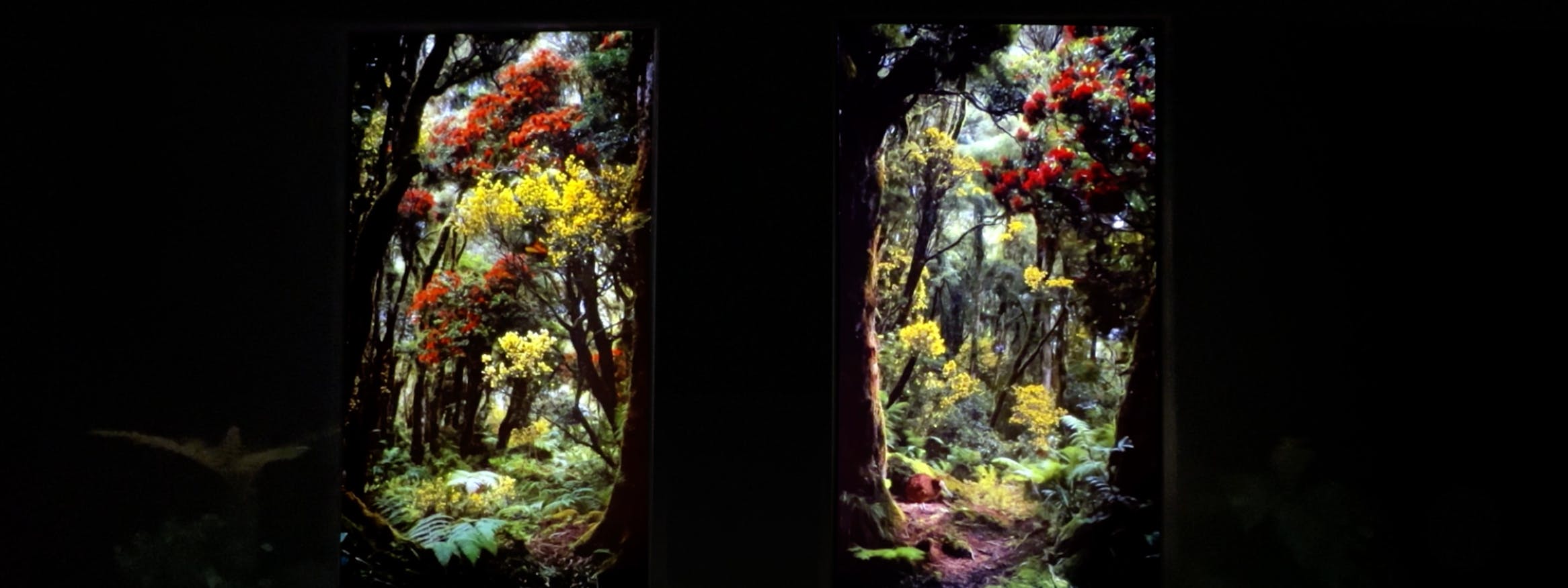 Chapman Tripp 150 — Native Forest party entrance