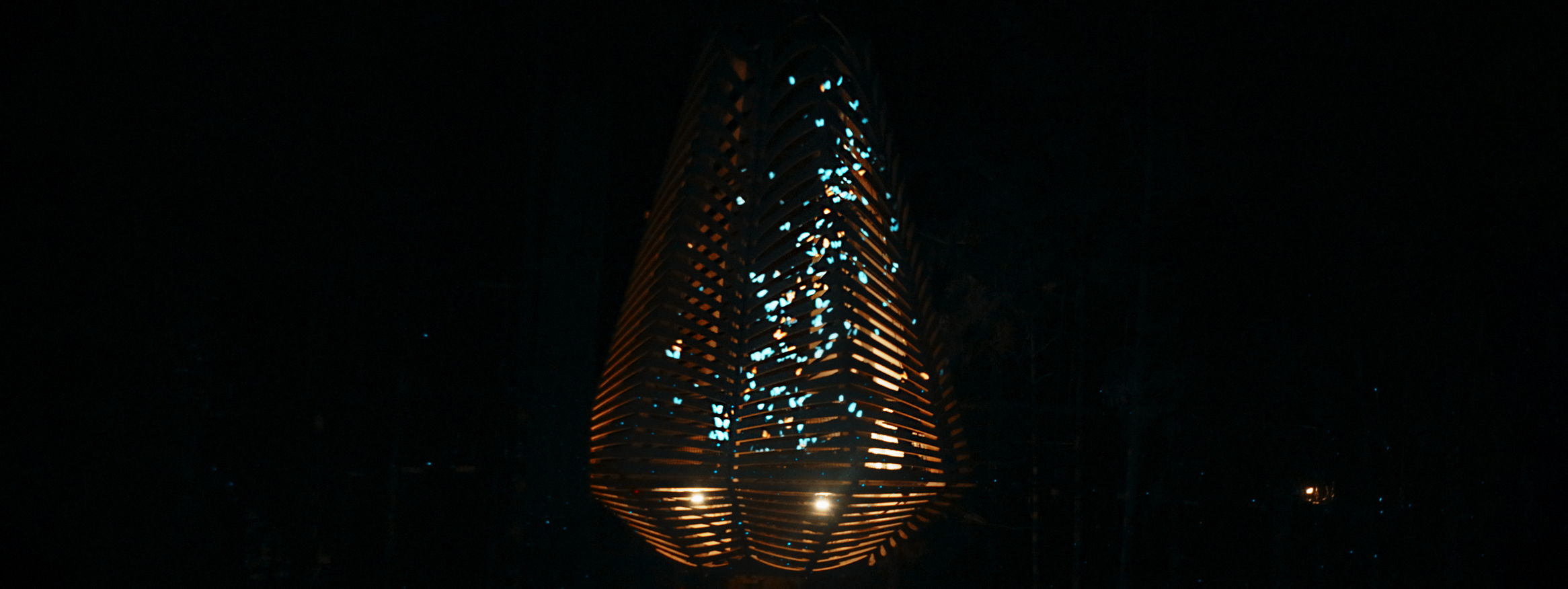 Redwoods Tree Walk - Immersive content installations