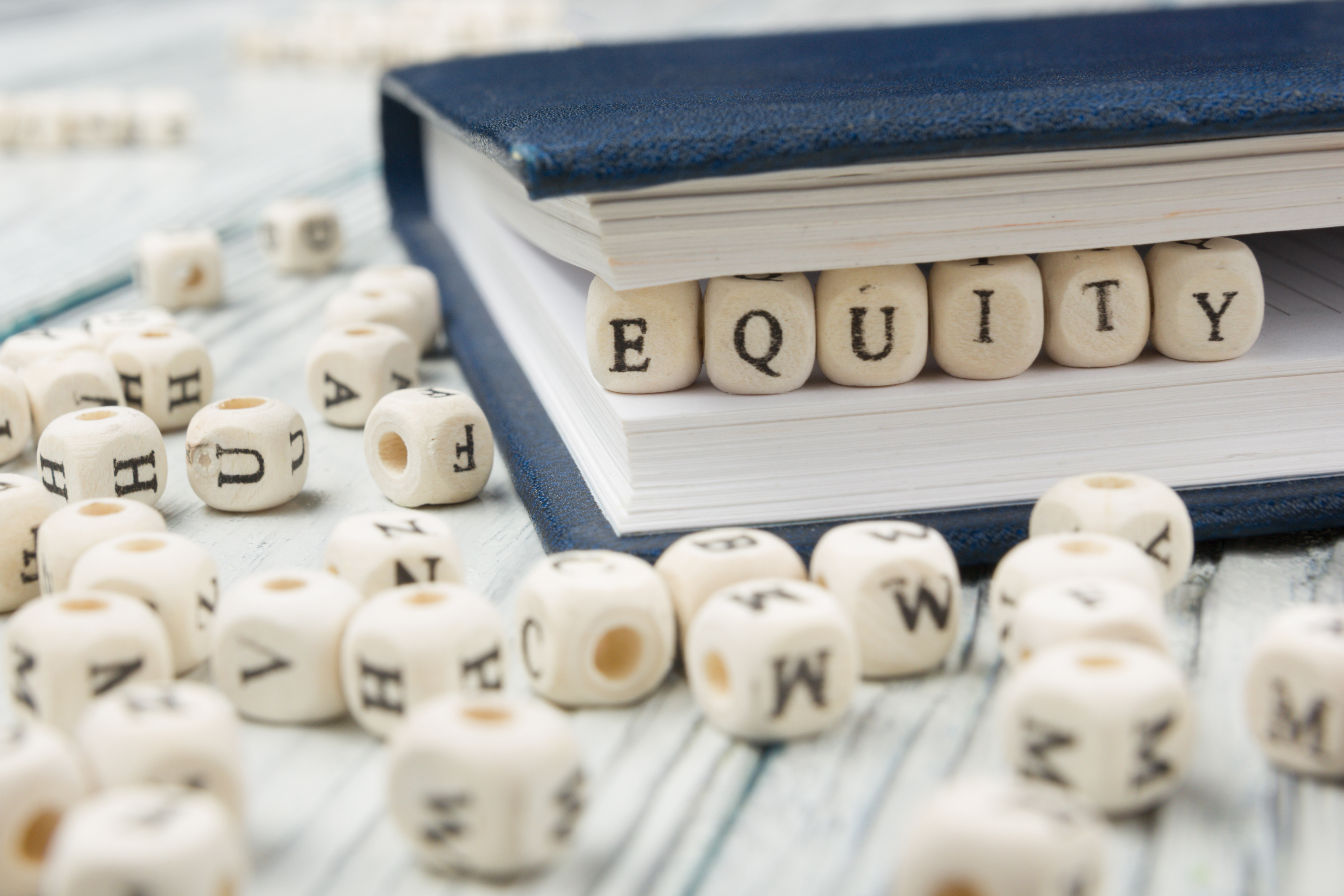 what is equity investment