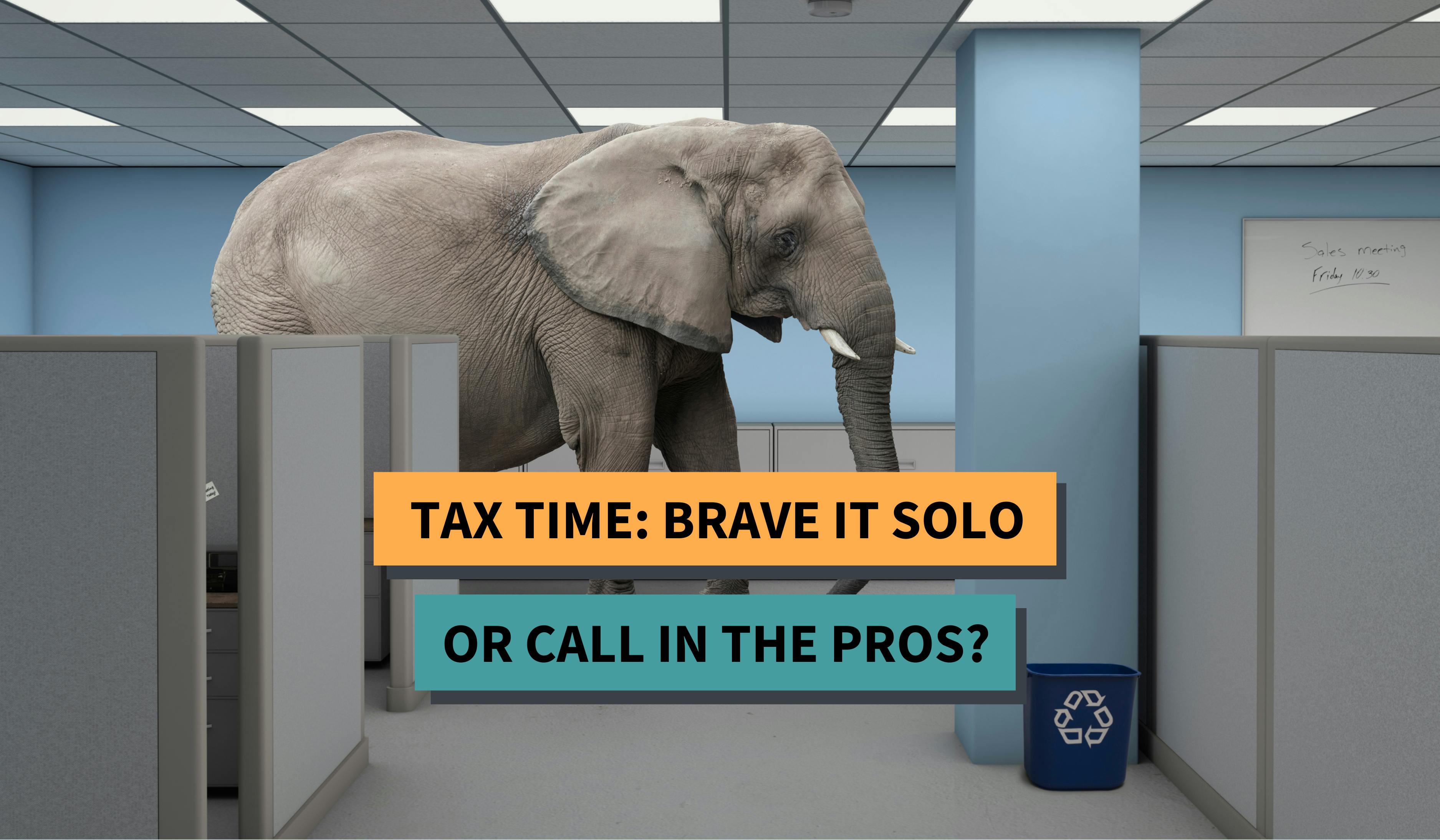 Tax time: brave it solo or call in the pros?
