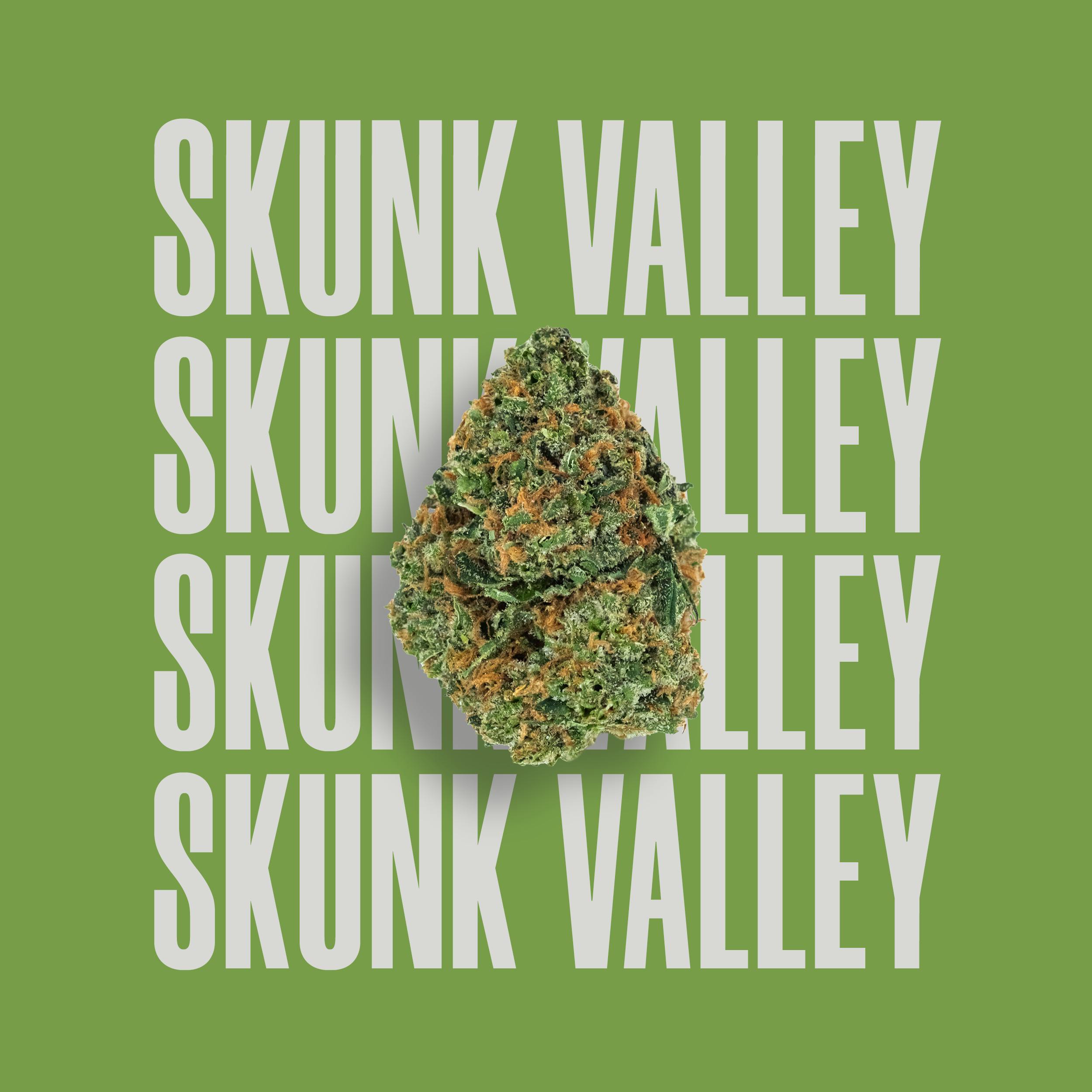 Home  The Skunk Labs