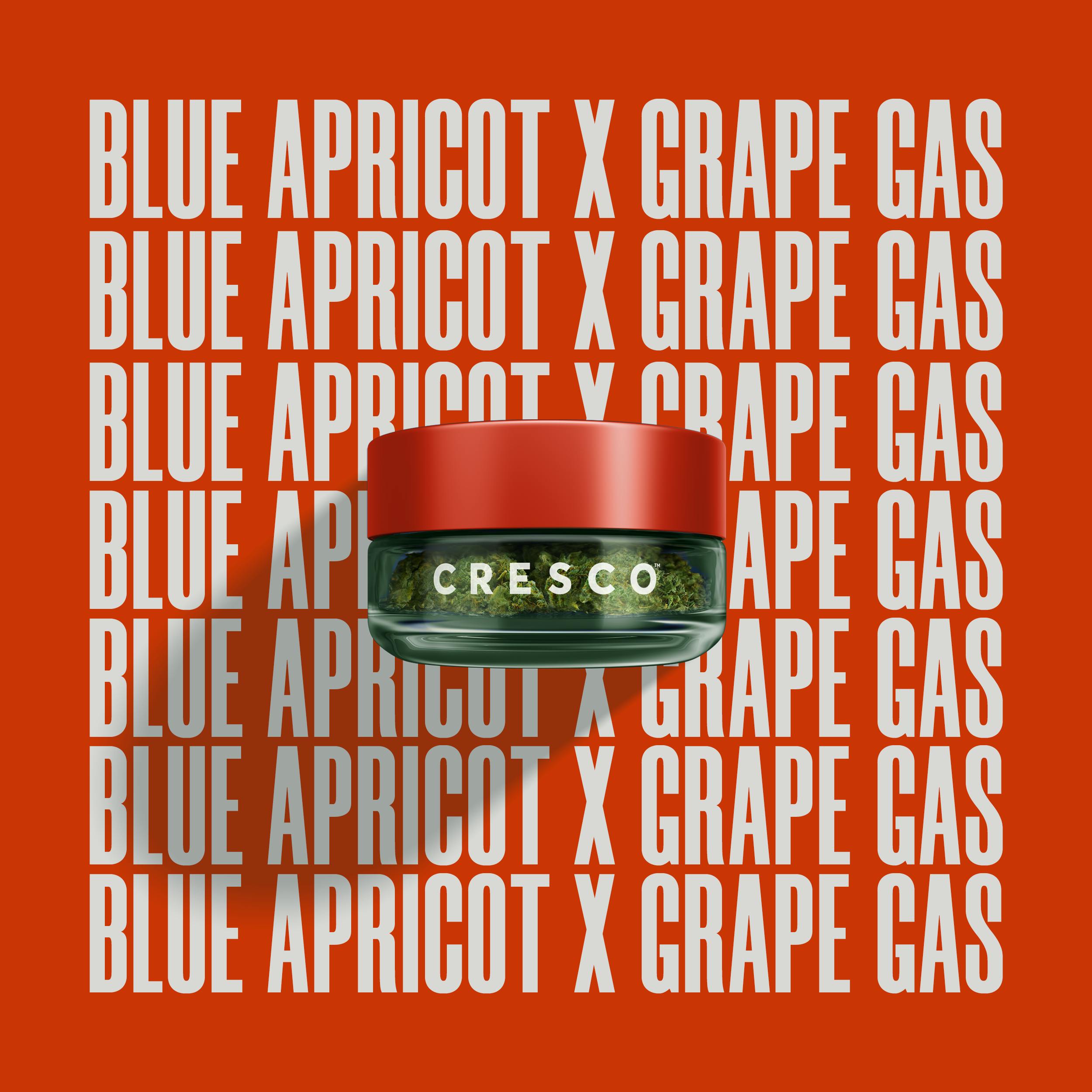 Cresco Cannabis Blue Apricot x Grape Gas
