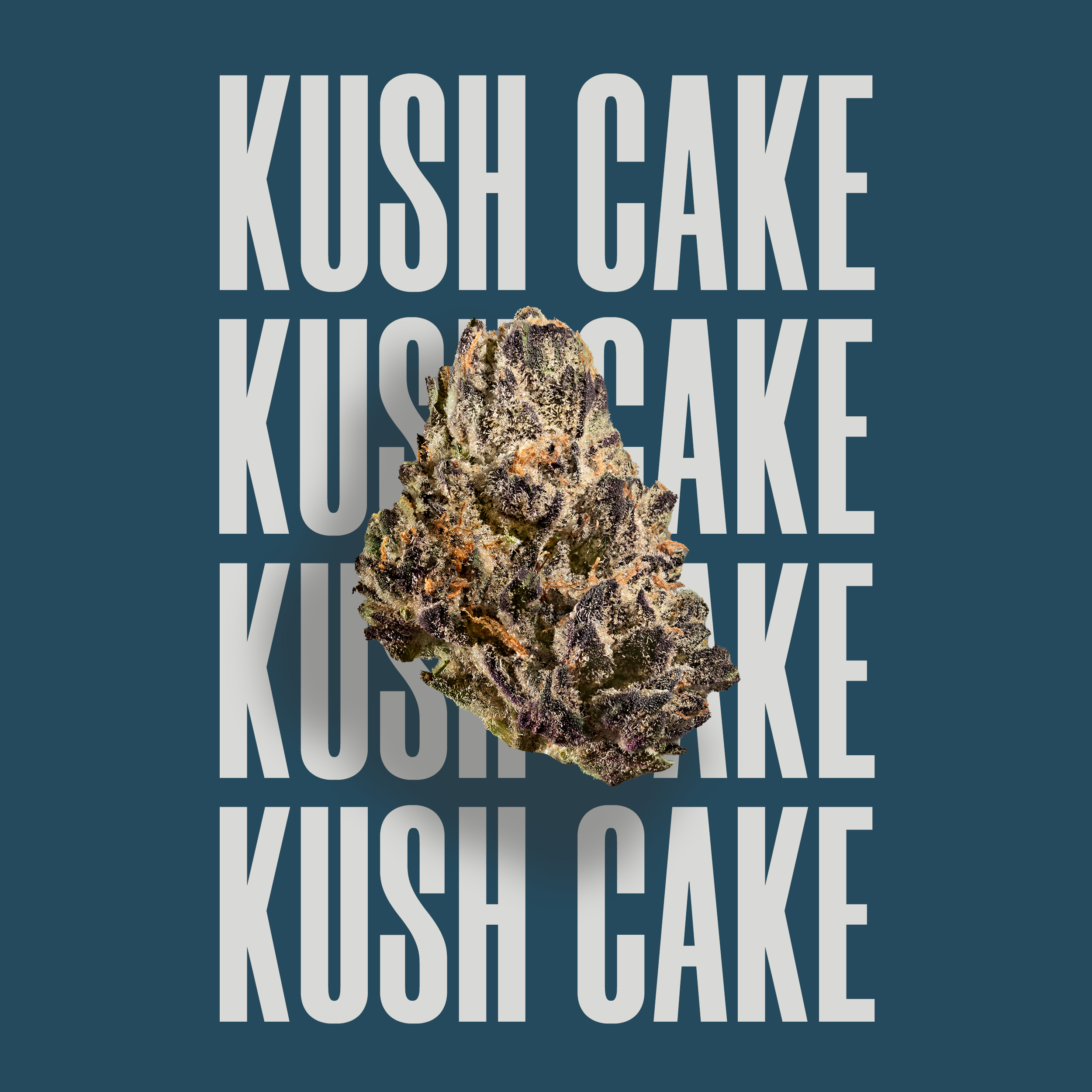 Rkive Reserve LA Kush Cake Flower | Weedmaps