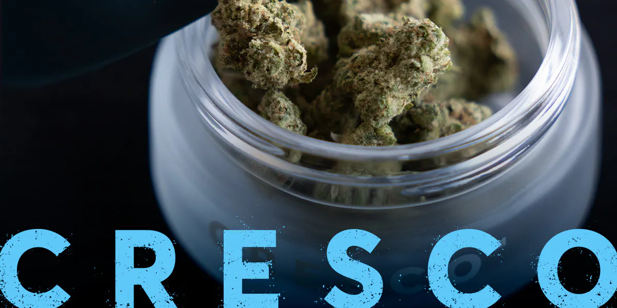 Cresco Cannabis: Flower
