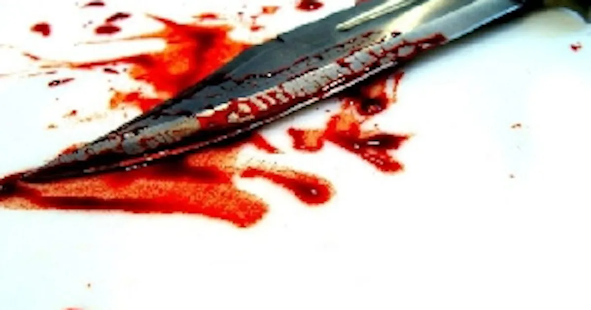 SHS graduate allegedly stabbed to death by sister's friend