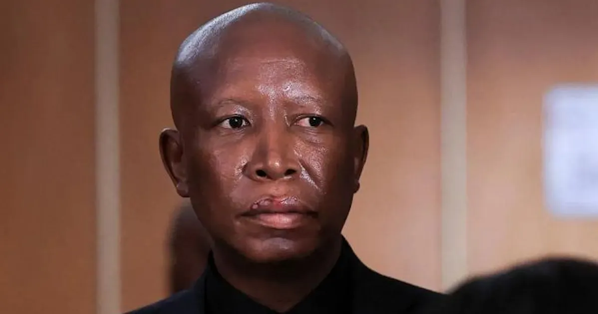 S/A: Malema sentenced to five years imprisonment over rally gunfire