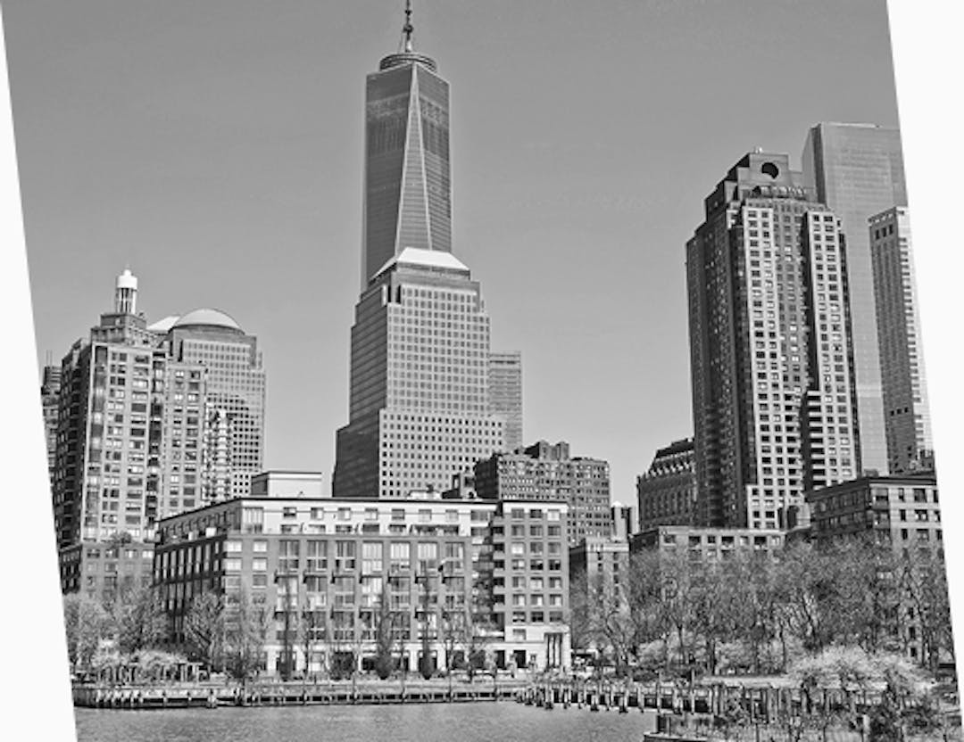 Skyline view of Lower Manhattan’s Battery Park City, featuring the One World Trade Center towering above waterfront buildings and park trees.