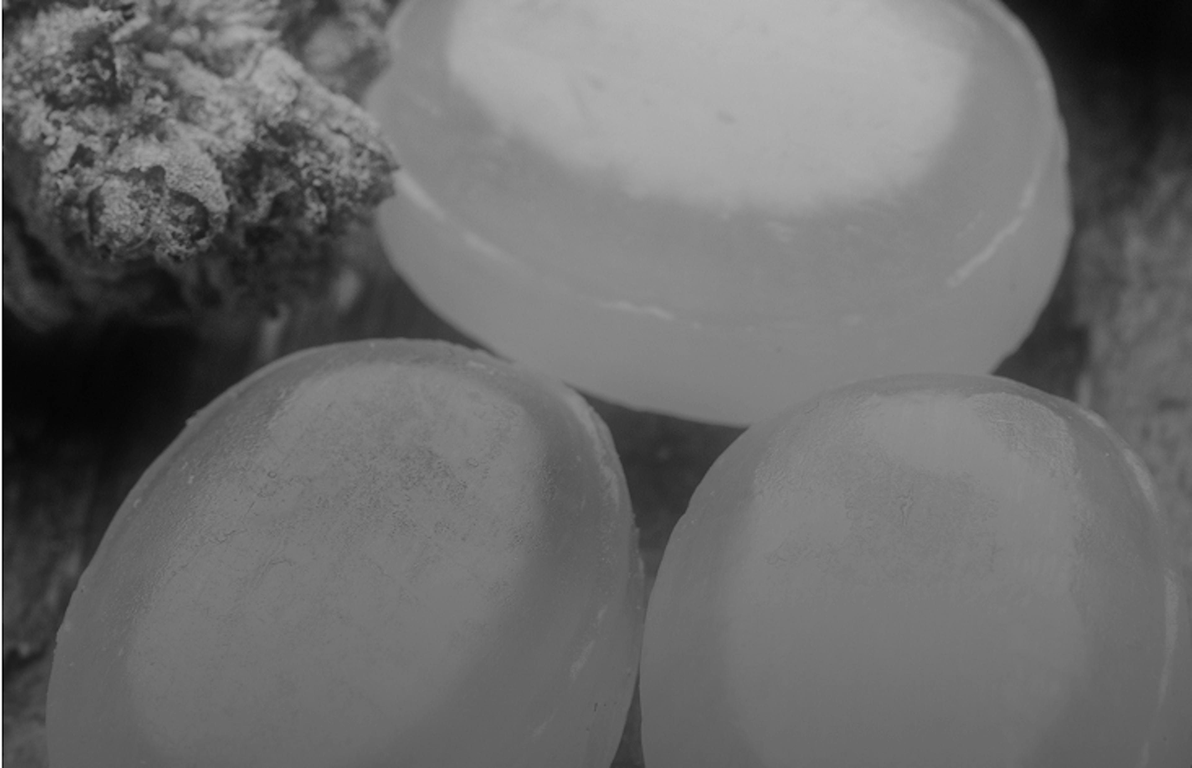 Close-up of translucent cannabis-infused gummies and buds displayed on a dark wooden surface.