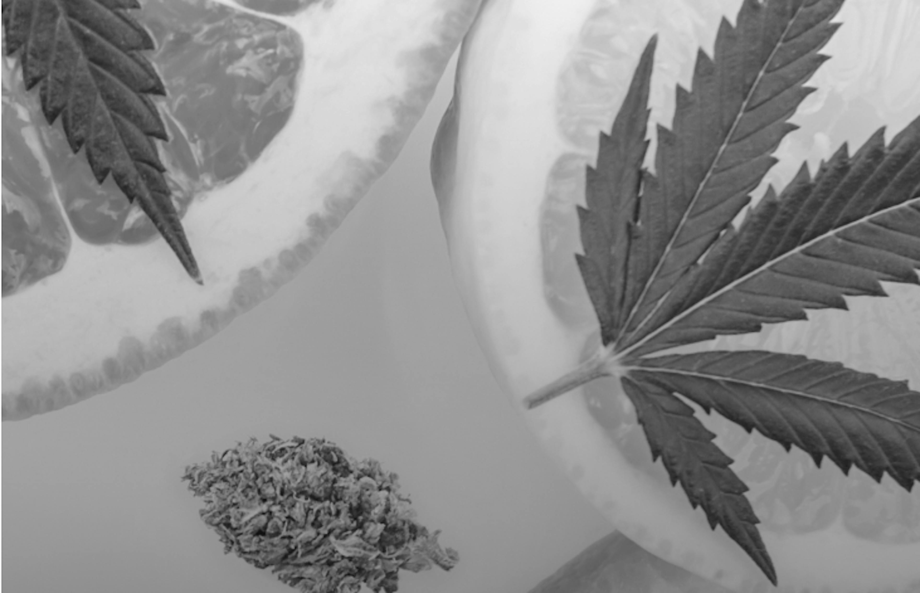 Flat lay of vibrant citrus slices and cannabis buds on a white background, suggesting fruity strain flavors.