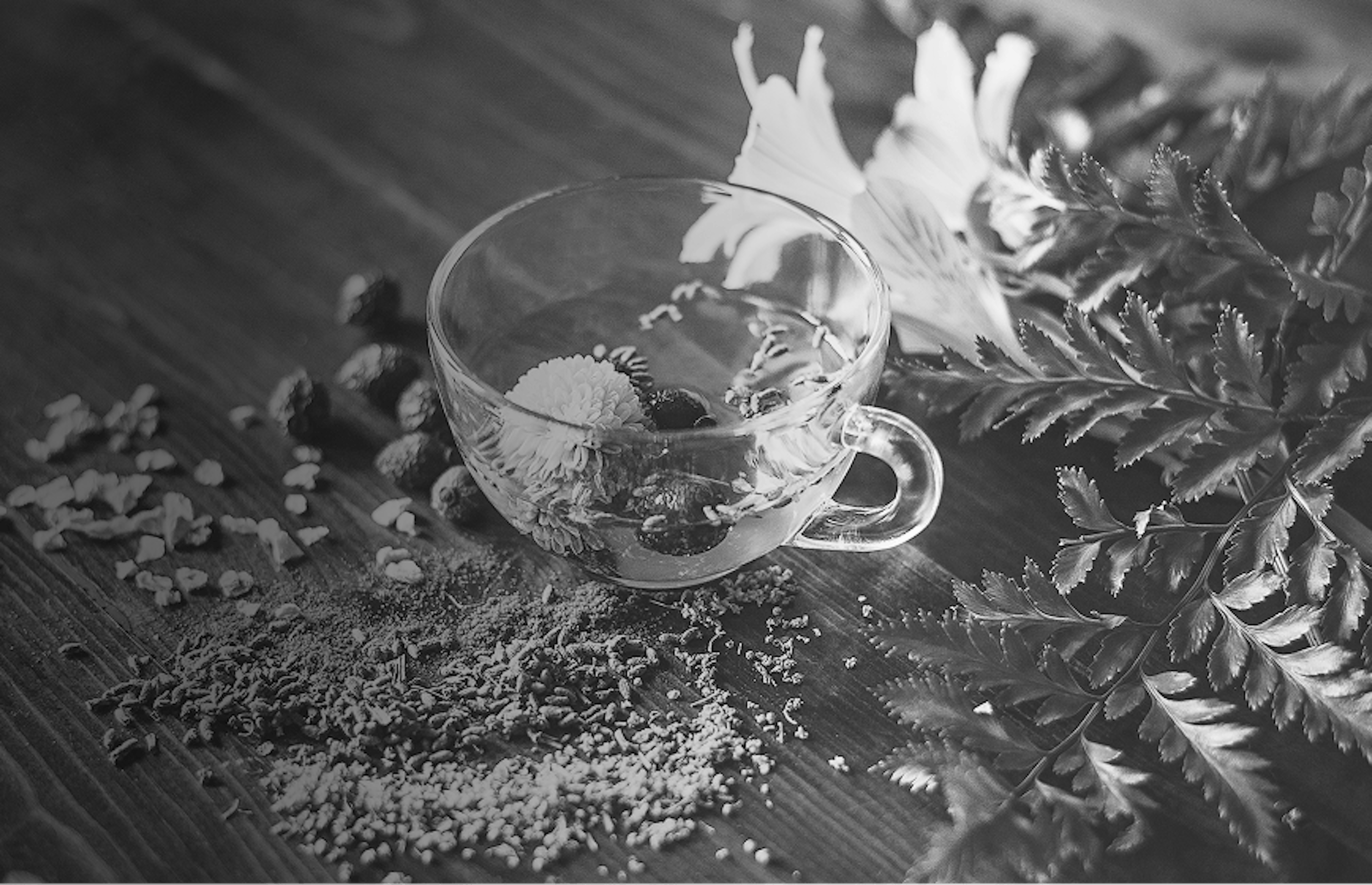 Glass teacup surrounded by loose herbal leaves and blossoms, representing floral and minty terpenes like linalool and humulene