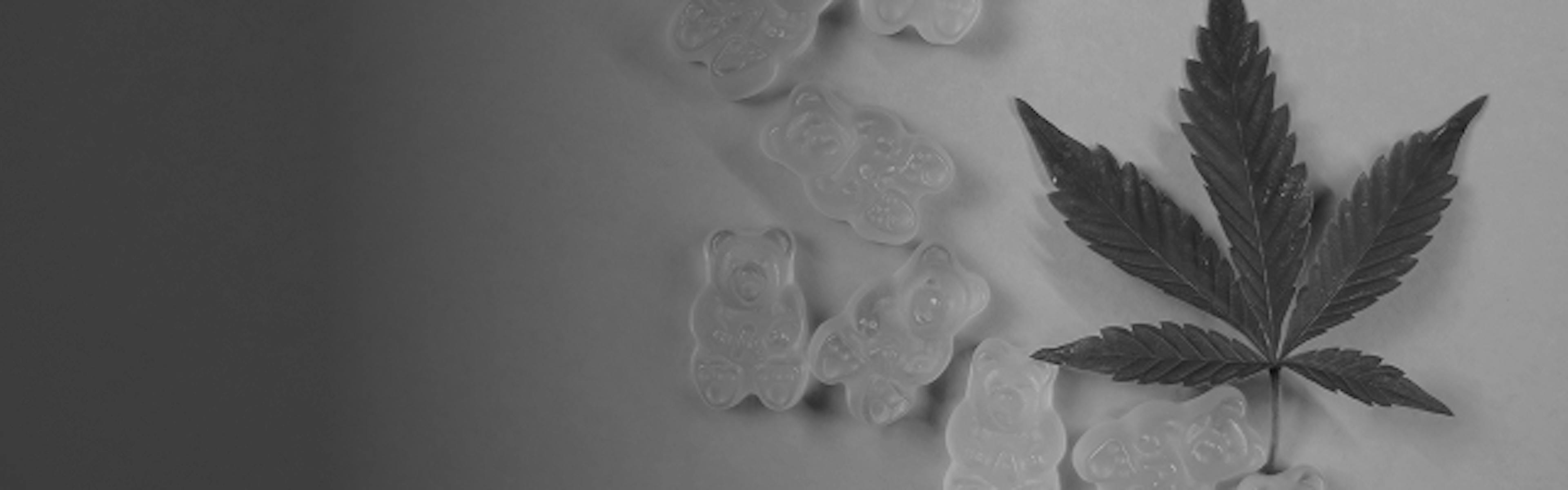 White gummy bear candies arranged beside a cannabis leaf, representing cannabis-infused edibles and fruity terpene profiles
