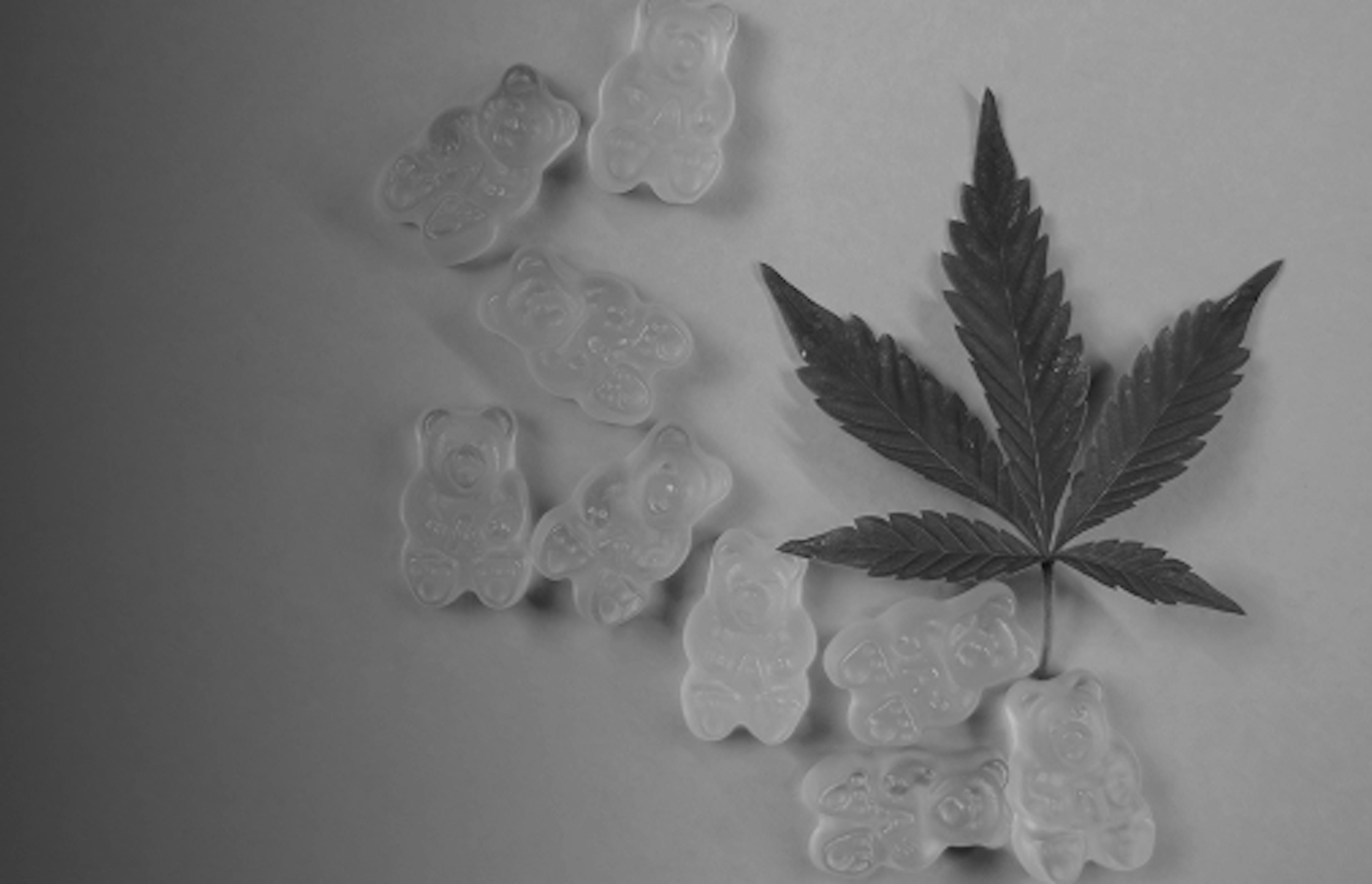 White gummy bear candies arranged beside a cannabis leaf, representing cannabis-infused edibles and fruity terpene profiles