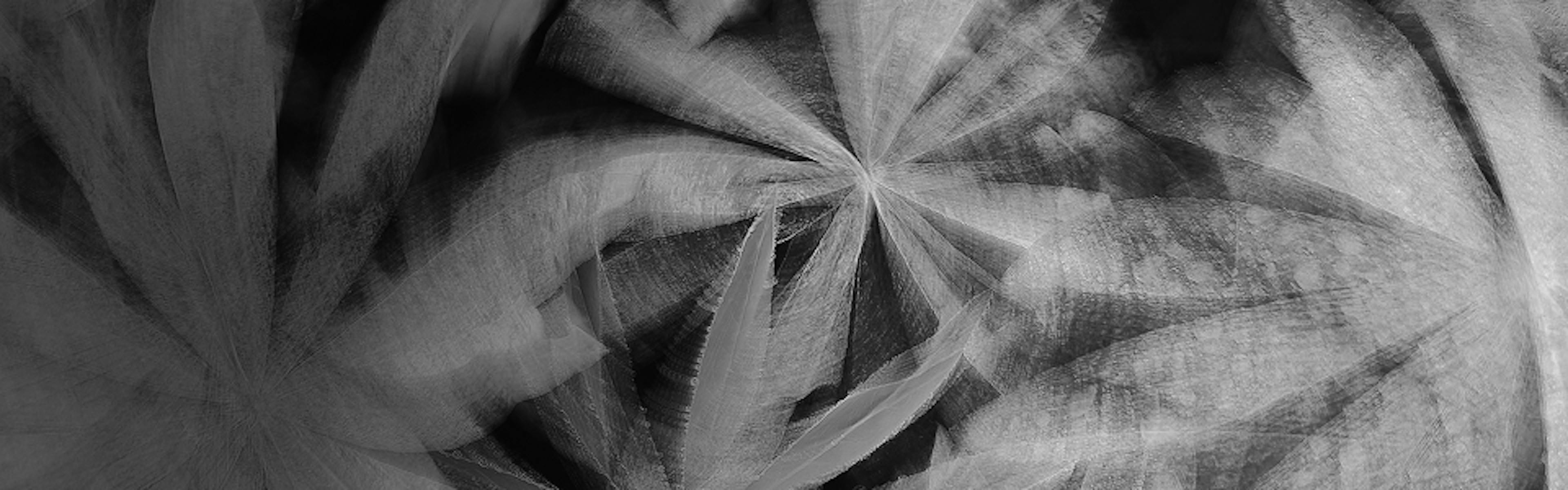 Abstract black-and-white image featuring overlapping cannabis leaves in a swirling, radial pattern. The visual effect creates a sense of motion and depth, with soft shadows and gradients enhancing the layered texture.