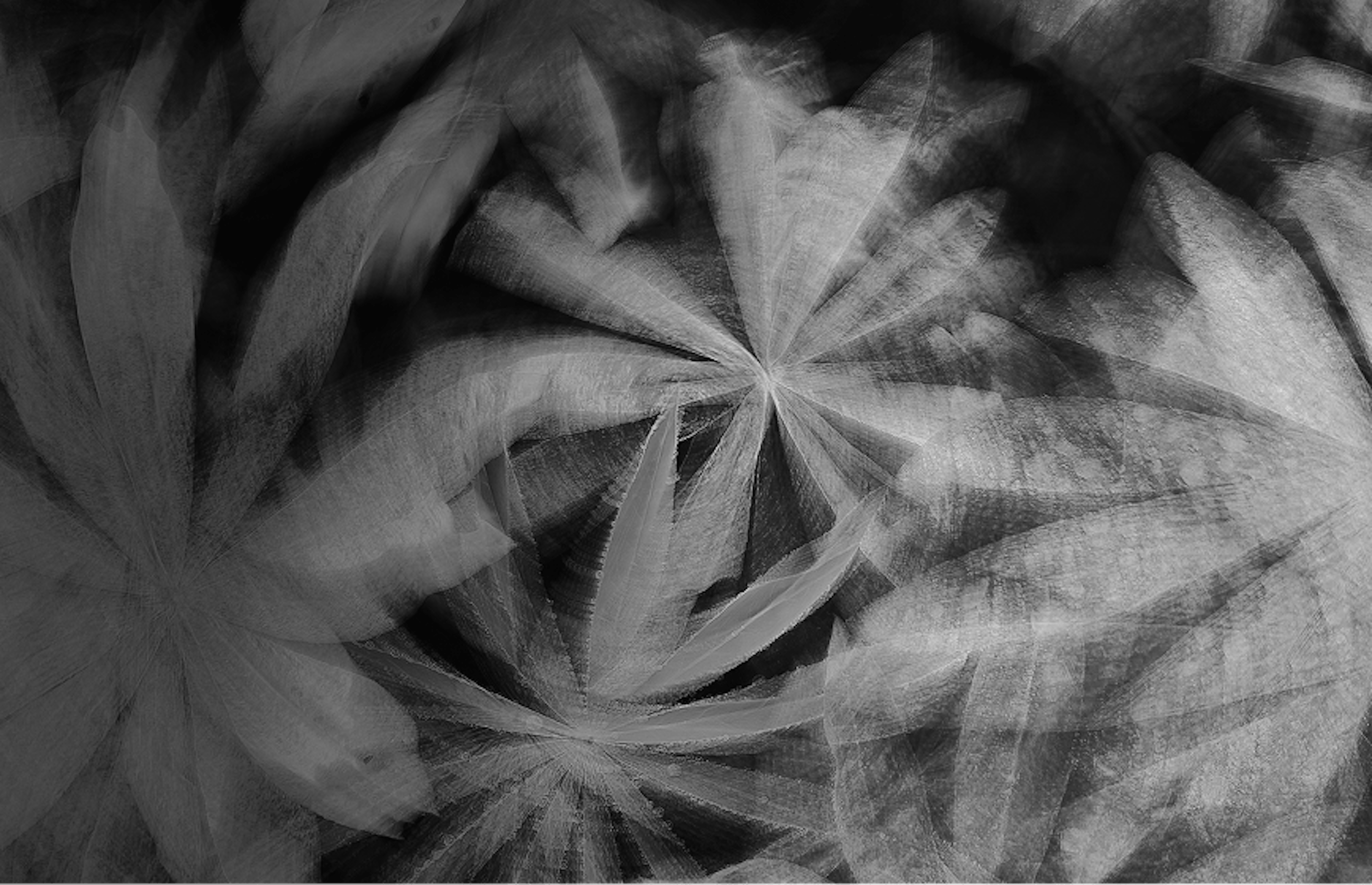 Abstract black-and-white image featuring overlapping cannabis leaves in a swirling, radial pattern. The visual effect creates a sense of motion and depth, with soft shadows and gradients enhancing the layered texture.