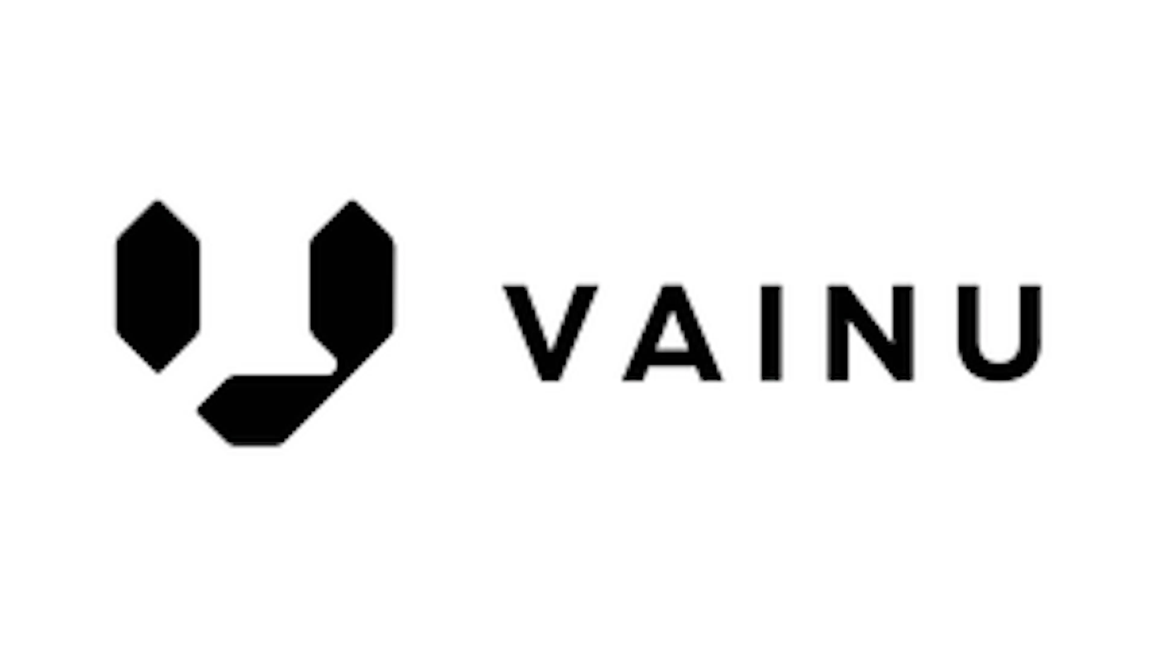 Vainu logo