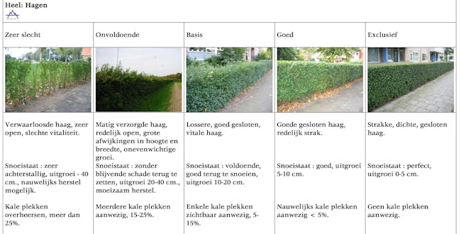 Kwaliteitsmaatlat onderhoud hagen Beheervisie Hilversum