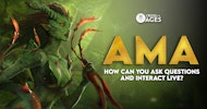 AMA - How can you ask questions and interact Live ? 