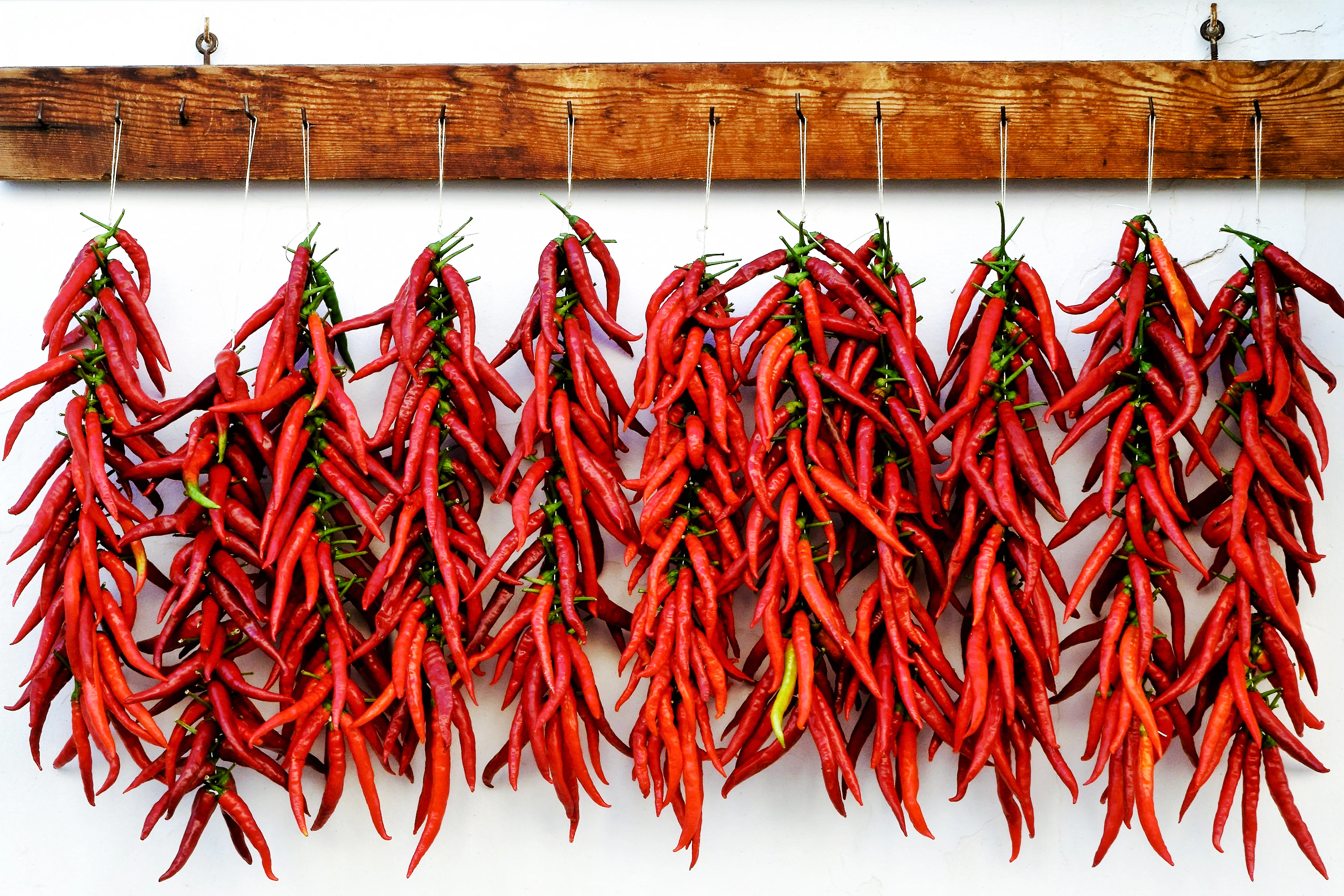 Bundles of red chillies hanging on strings