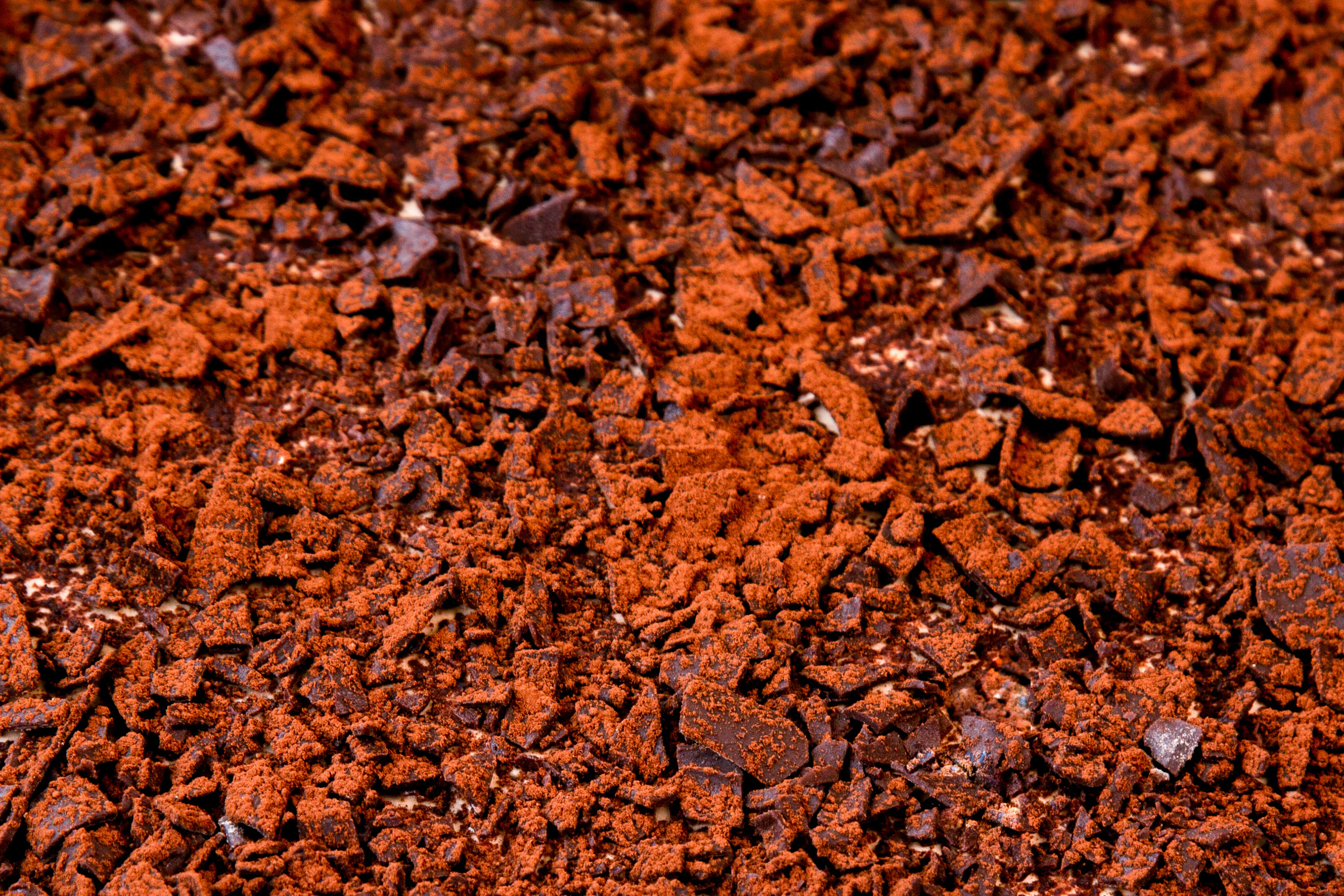 Shards of chocolate with a dusting of cocoa powder.