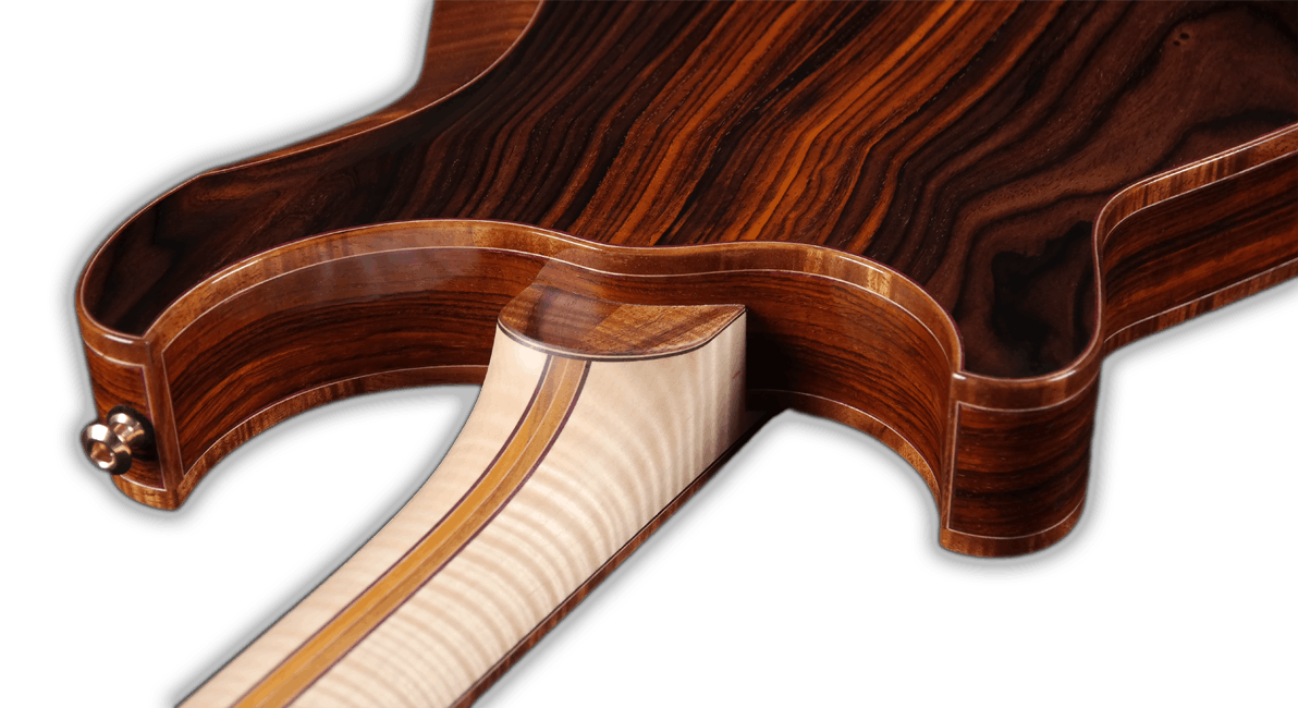 Hollowbody neck joint view.