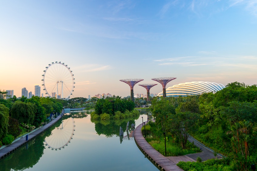 singapore cruise market