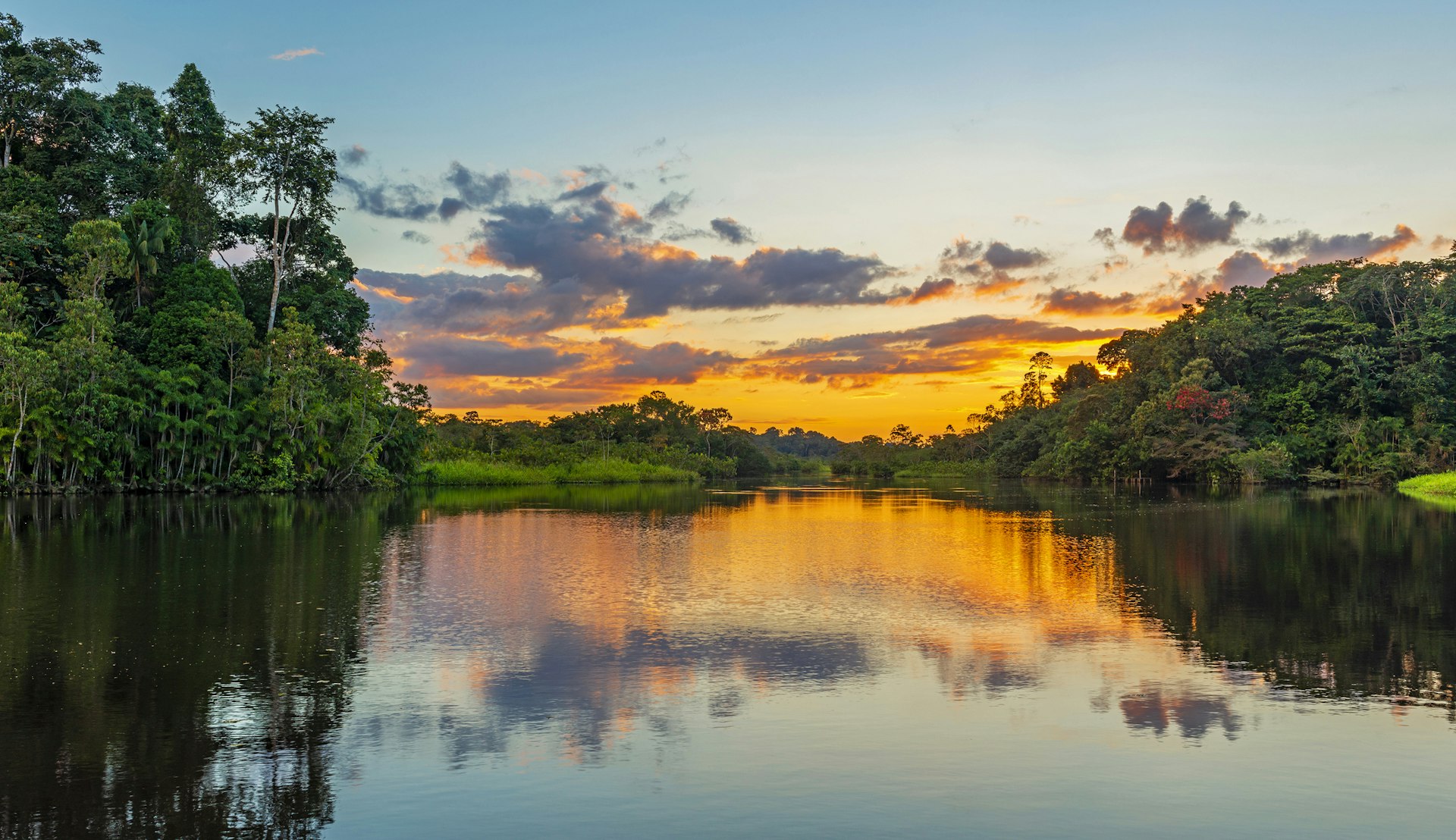 Amazonas, Sør-Amerika @SL_Photography. Getty Images