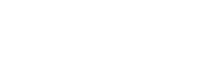 The Flippers logo