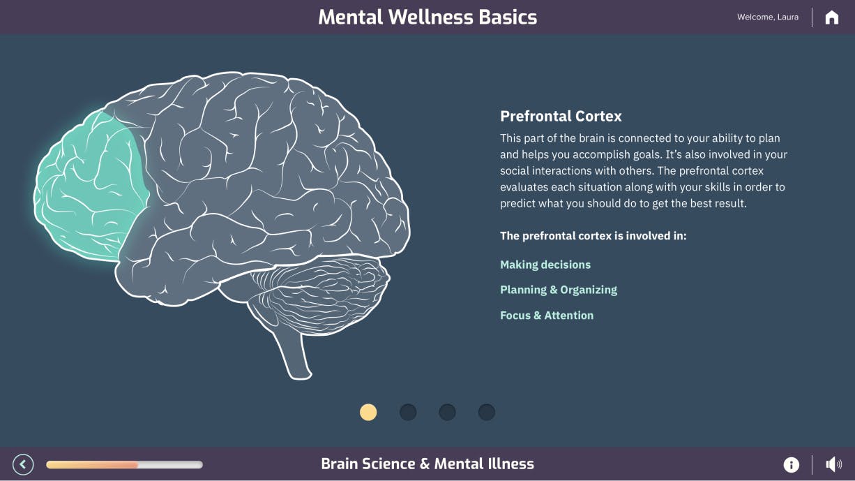 An example of an illustration of a brain from an eLearning course designed for Everfi.