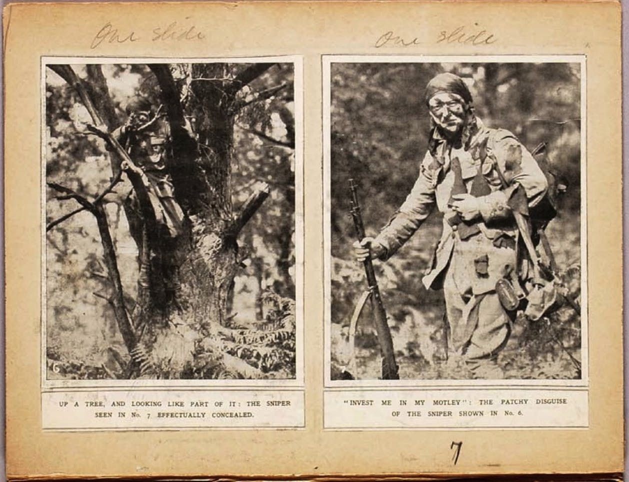 Study image for Abbott Thayer’s book Concealing Coloration in the Animal Kingdom.