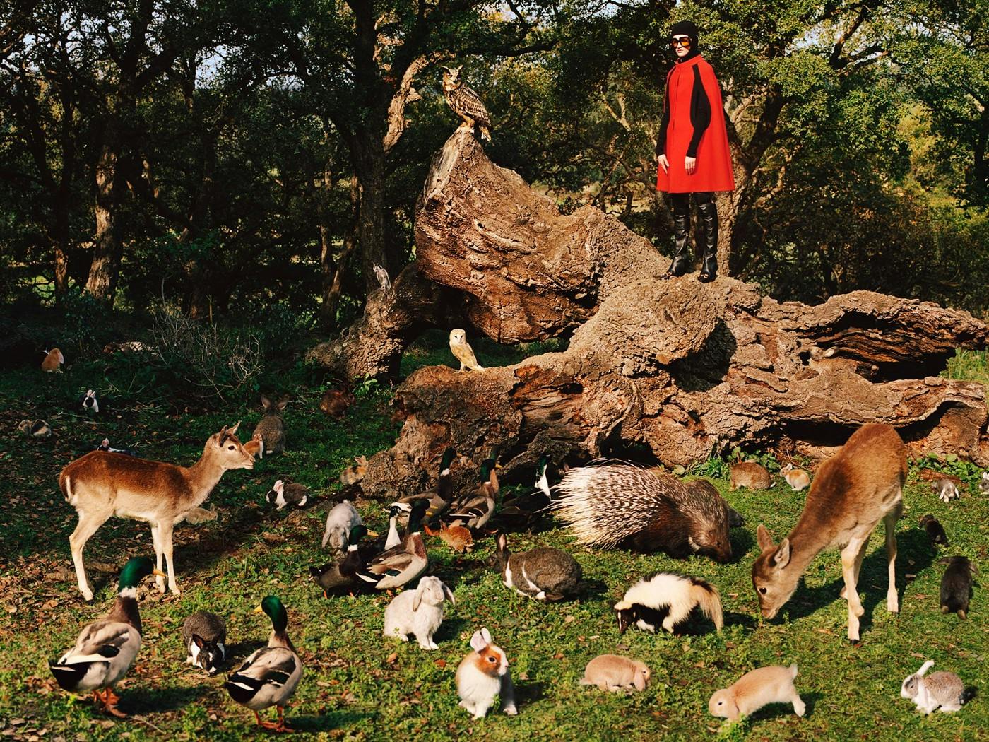 Alessandro Michele for Gucci pre-fall 2020 cute animal campaign.