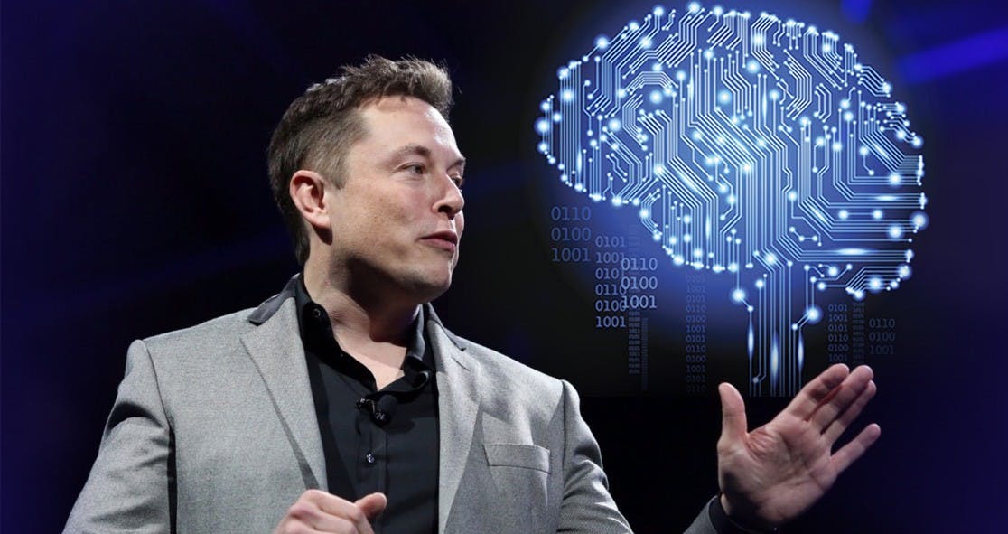Elon Musk Demonstrated A Neuralink Brain Implant In A Live Pig