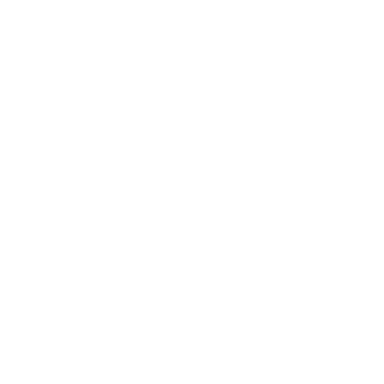 Cryptic Witch Logo
