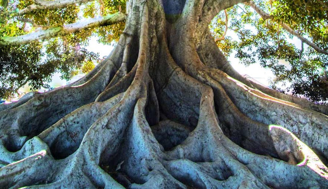 Apartamente de vanzare