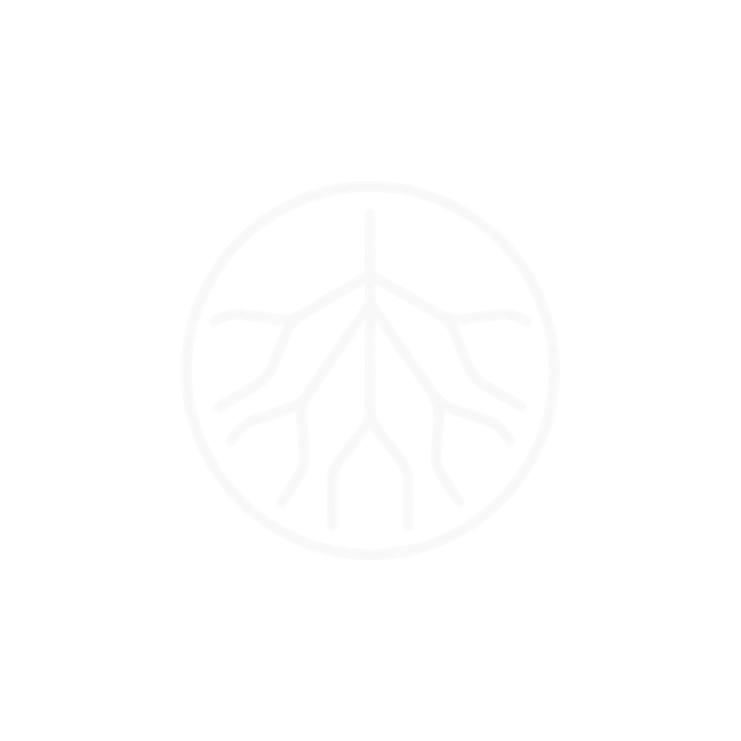 APARTAMENTE PENTHOUSE PIPERA A60