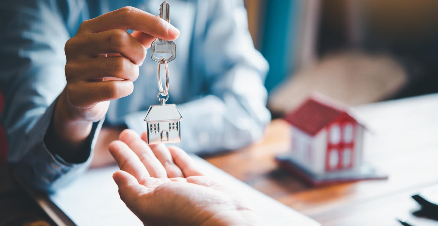 Cum să alegi dezvoltatorul potrivit: transparență, calitate și încredere