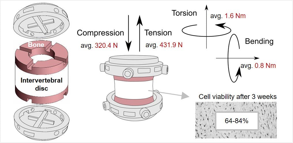 A holding system for multiaxial spin bioreactor